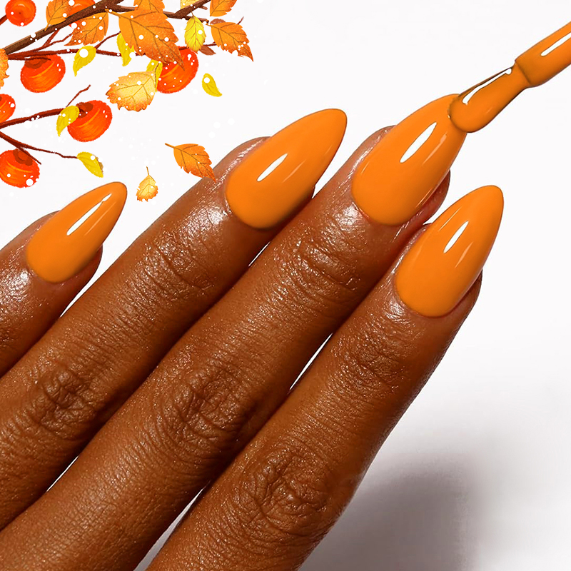 AWStorG 7.5ml 10 Kolorów Lakie – Nail Art Orange recenzja i cena